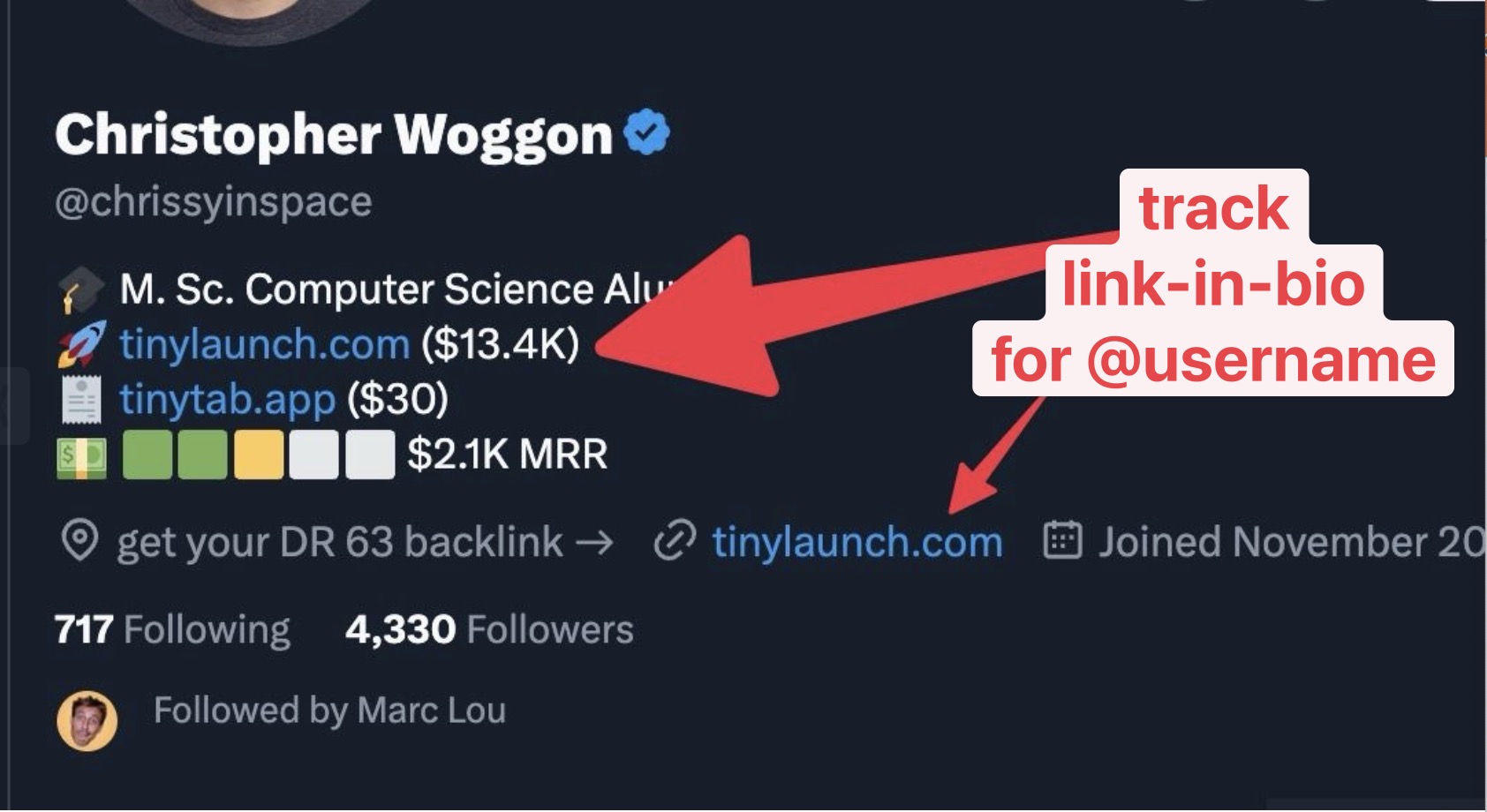 an account with a link to a website displayed in DataFast